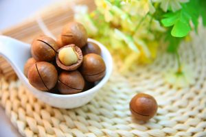 macadamia nut oil nuts in a bowl