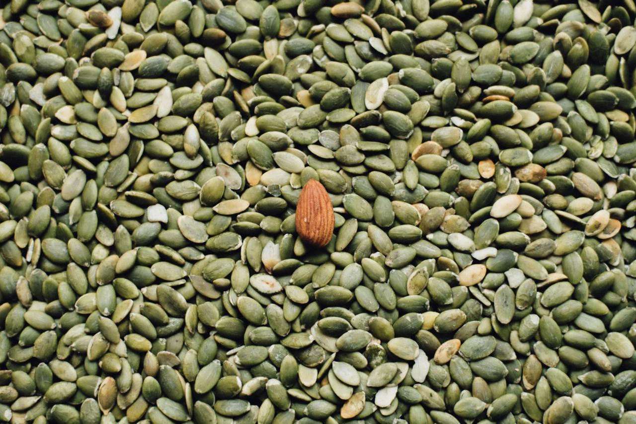 pumpkin seed oil pumpkin seeds